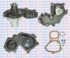 AQUAPLUS 85-5015 Water Pump